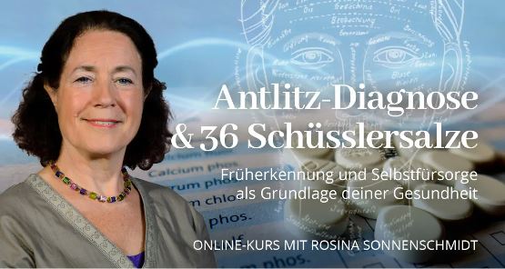 Kursbild Antlitz-Diagnose und 36 Schüsslersalze