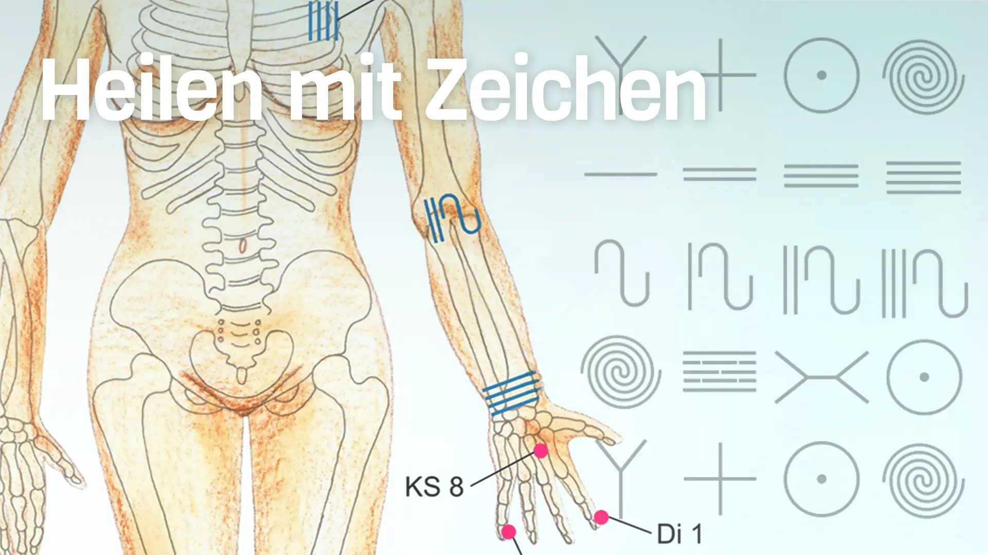 Zeichen und Körper