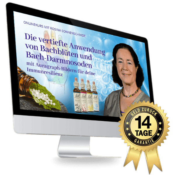 Kursbild mit Rosina Sonnenschmidt in PC zu sehen