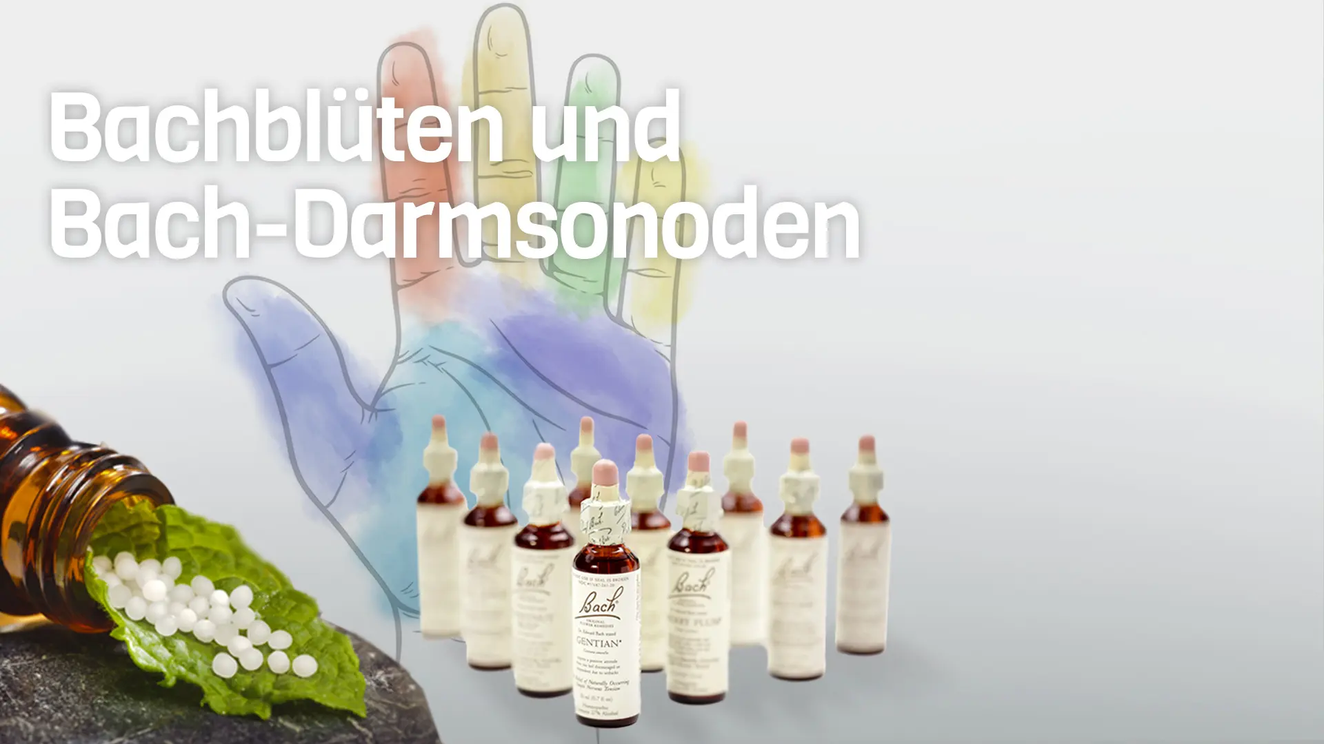 Bachblüten und Bach Darmsonoden als Schrift und bunte Hand 10 Bachblütenflaschen und Globuli auf einem Blatt im Hintergrund