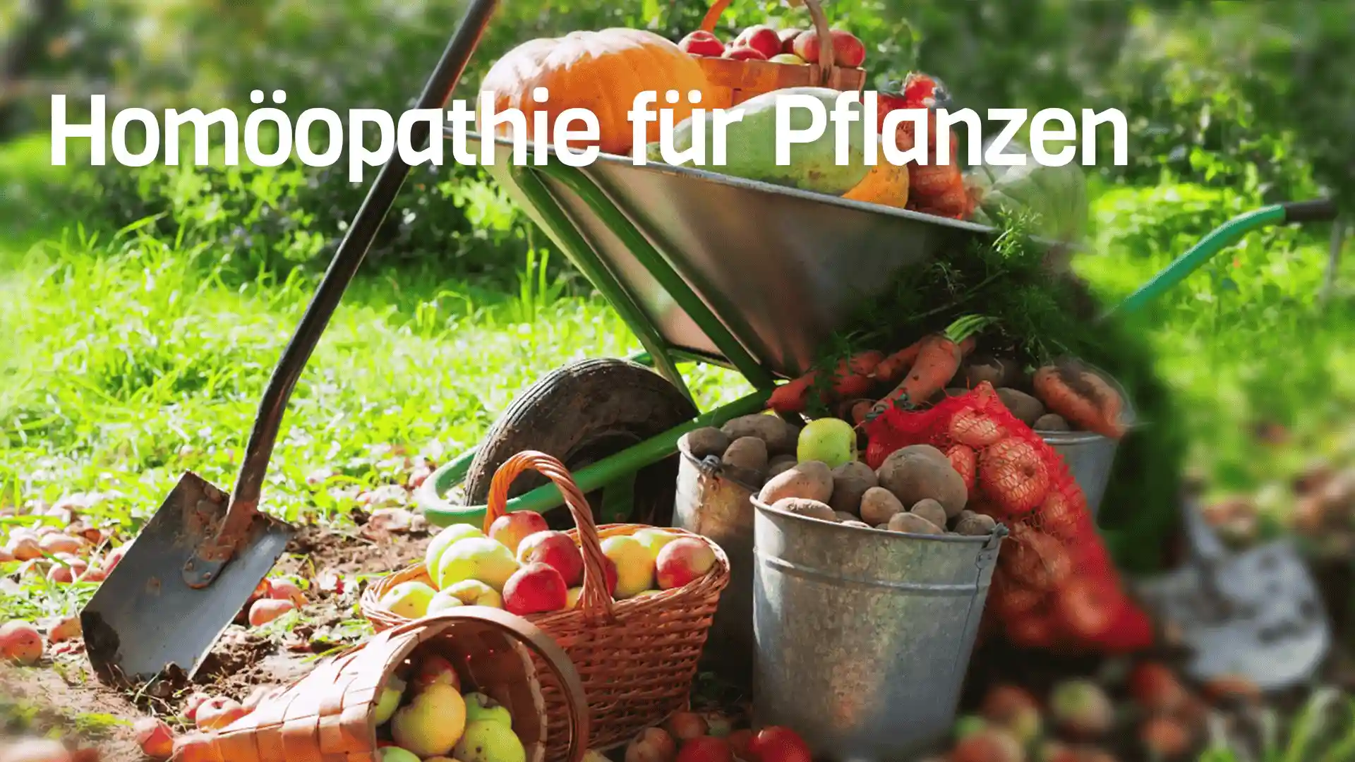 Schubkarre mit Schaufel und Gemüse und Obst und Text