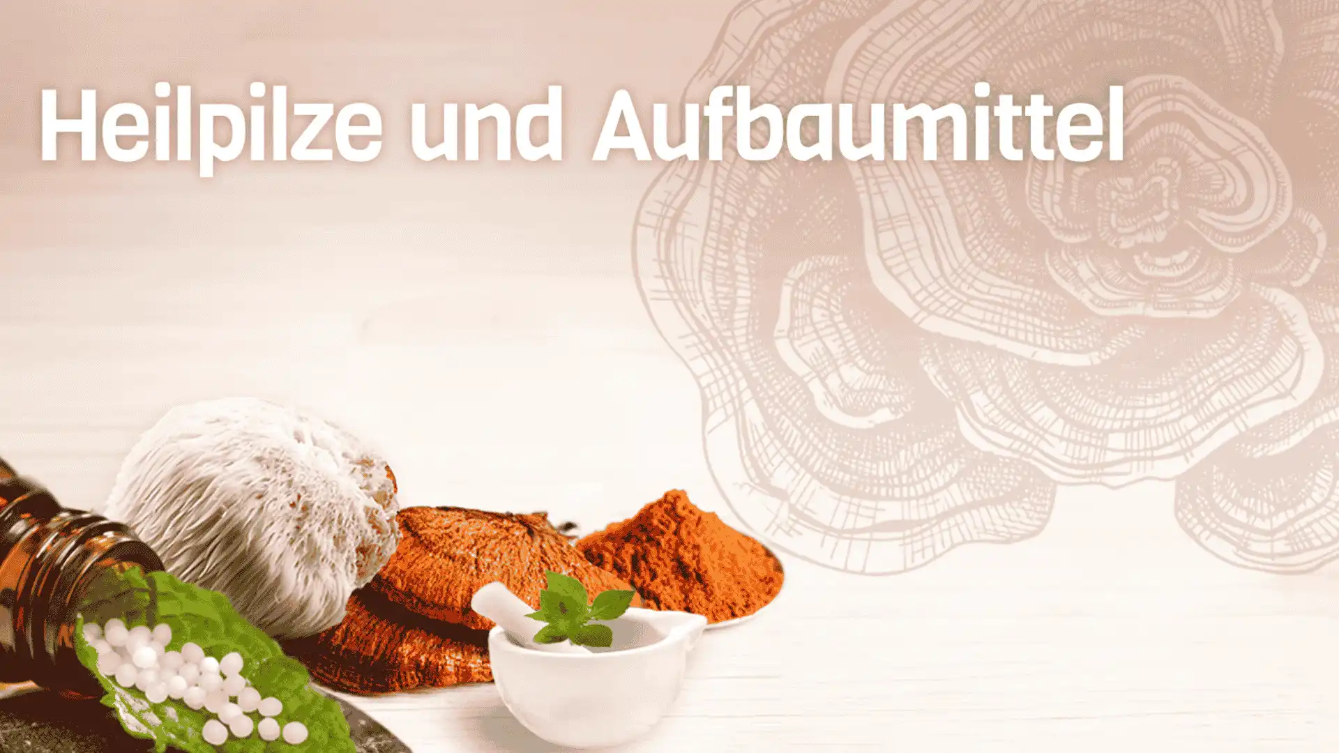 Globuli, Pilze und Gewürze mit Text