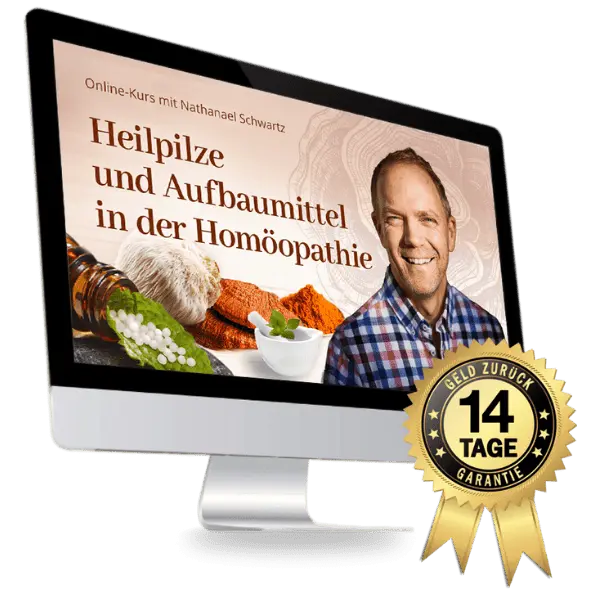 Globulis, Pilze und Nathanael mit Text
