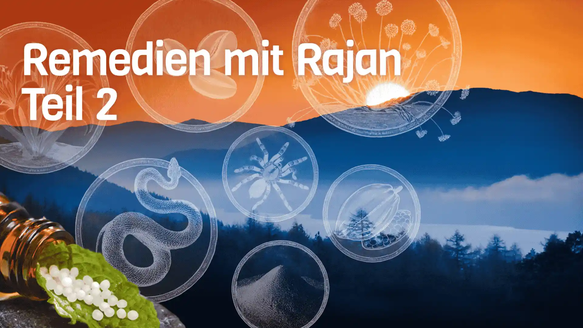 Landschaft in Nebel mit Sonnenaufgang und Text