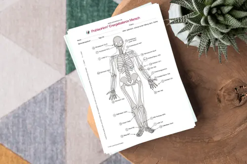 Blätter mit Abbildung von Akupunkturpunkten