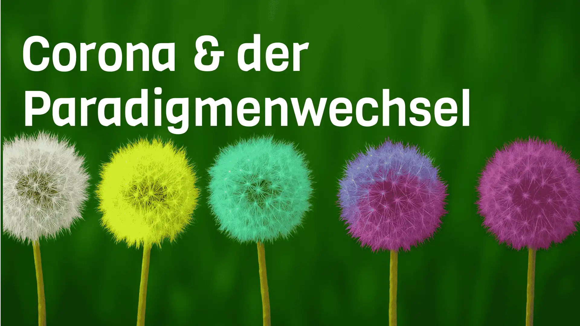 5 bunte Pusteblumen mit Text