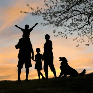 zeeden alphatechniken modul 2