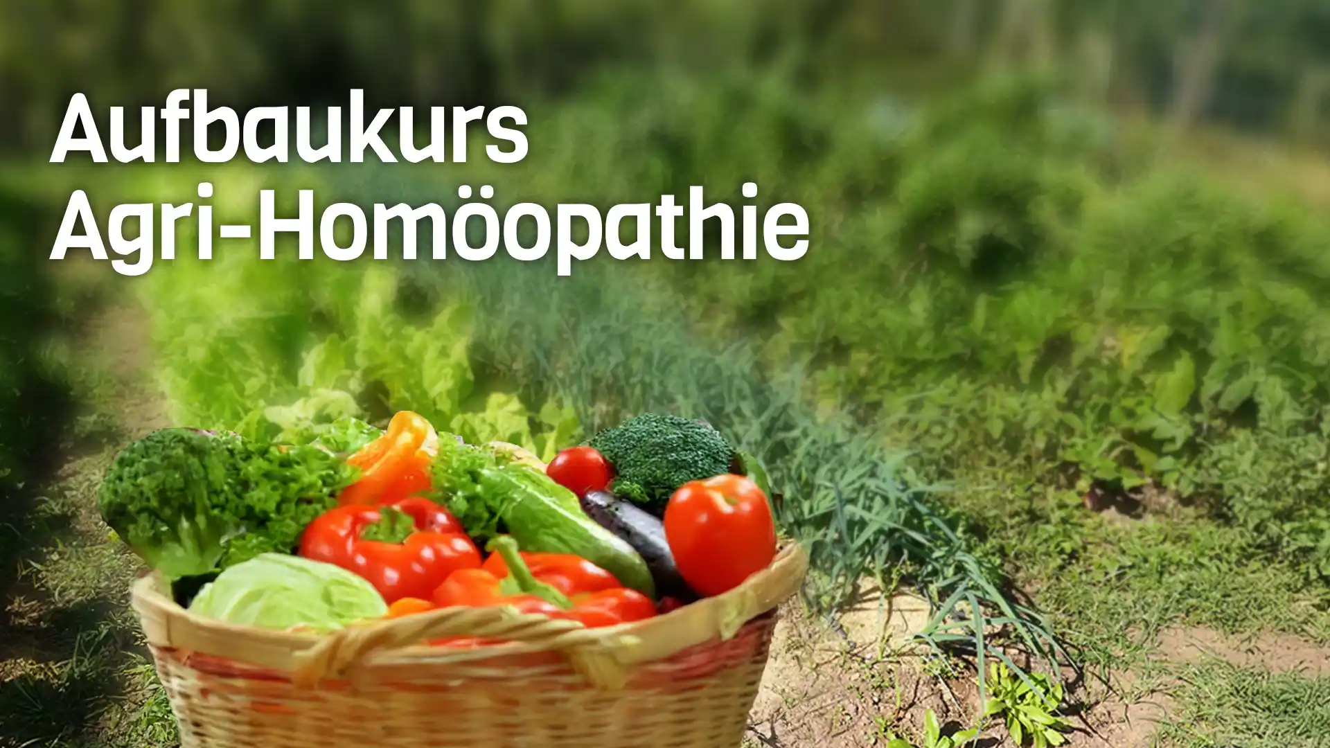 Korb mit Gemüse und Text