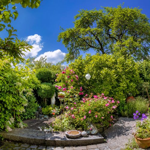 Schöner Garten mit Blumen und Sträuchern im Sommer, Tutzing, Bayern, Deutschland, Europa