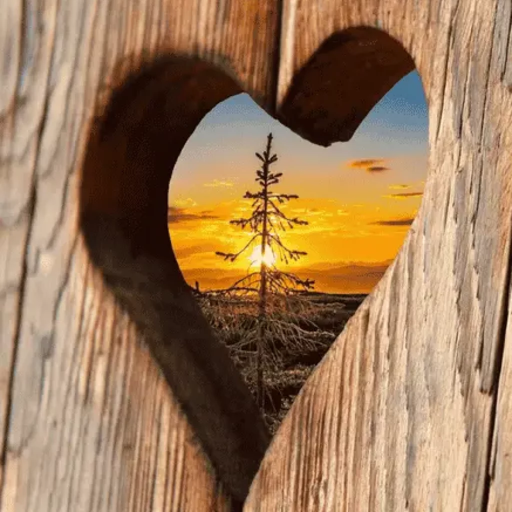 Alize Timmermann_Power Women – Wooden Heart Herz und dahinter ein Baum und Sonne