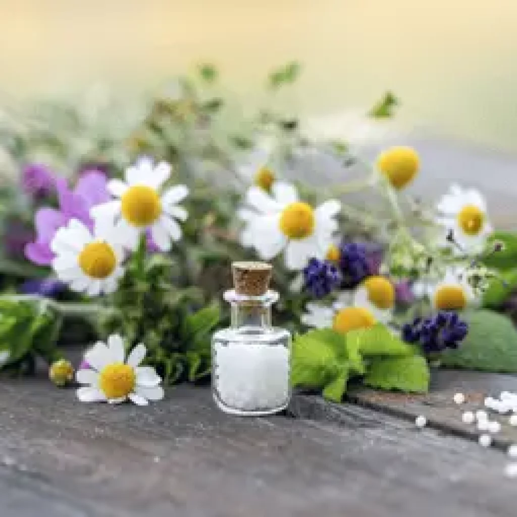Christiane Maute_Pflanzen – Blumen und Globuli Heilkräuter wie Kamille und Globuli