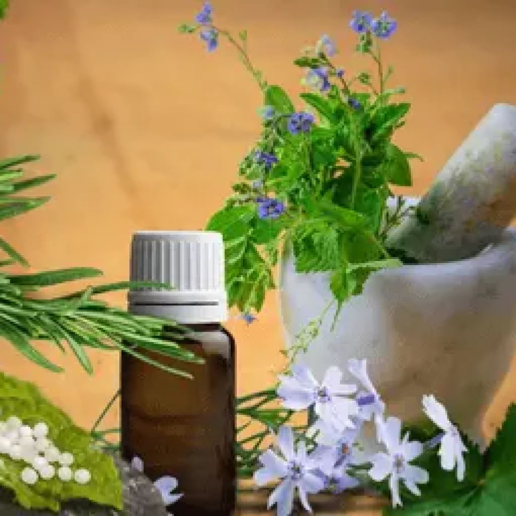Homöopathiefläschchen und Pflanzen