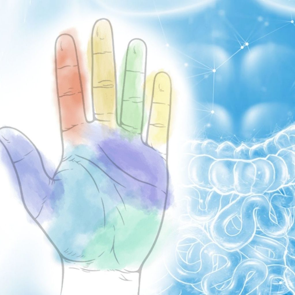 Sonnenschmidt Bachblüten – Hero Linke Hand bunt bemalt und Darm Skizze mit blauen Hintergrund